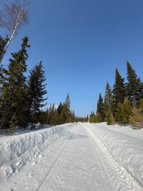 ДП Родной в Верхотурье - verhoture.yutvil.ru - фото 7