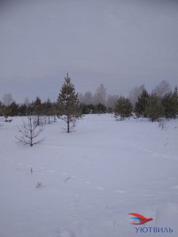 Земельный участок поселок Баженово в Верхотурье - verhoture.yutvil.ru - фото 5
