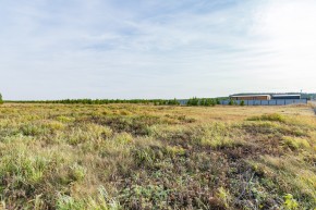 Российская Федерация, Свердловская область, Сысертский городской округ, территория садоводческого некоммерческого товарищества Бобровские дачи, улица Каштановая, земельный участок № 38 в Верхотурье - verhoture.yutvil.ru - фото 24