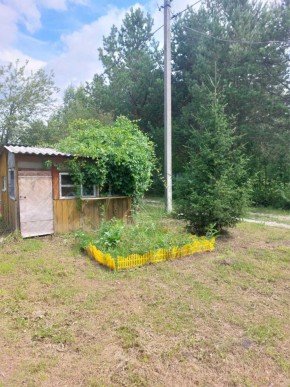 СНТ Родники в Верхотурье - verhoture.yutvil.ru - фото 2