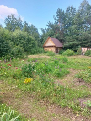 СНТ Родники в Верхотурье - verhoture.yutvil.ru - фото 3