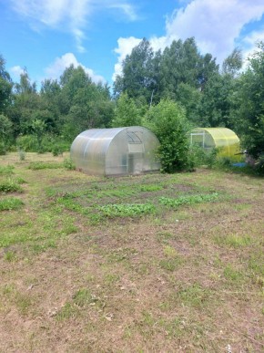 СНТ Родники в Верхотурье - verhoture.yutvil.ru - фото 4