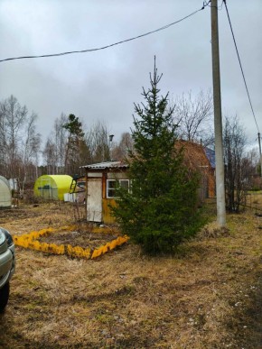 СНТ Родники в Верхотурье - verhoture.yutvil.ru - фото 5