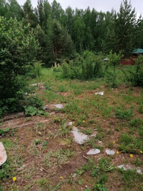 СТН Семья №112, Верхняя пышма на землях бывшего подсобного хозяйтва верхнепышминского опытного завода в Верхотурье - verhoture.yutvil.ru - фото 17 СТН Семья №112, Верхняя пышма на землях бывшего подсобного хозяйтва верхнепышминского опытного завода в Верхотурье - verhoture.yutvil.ru - фото 17