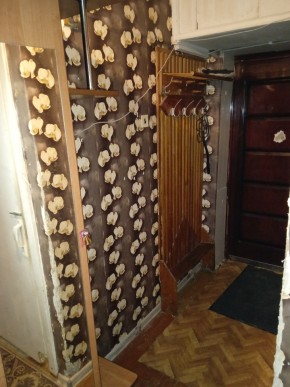 ул. Бажова,11 в Верхотурье - verhoture.yutvil.ru - фото 9 ул. Бажова,11 в Верхотурье - verhoture.yutvil.ru - фото 9