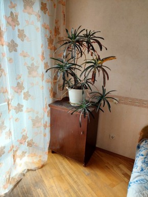 ул. Индустрии,29 в Верхотурье - verhoture.yutvil.ru - фото 4