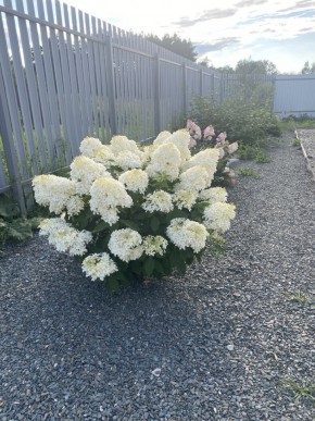 ул. Весенняя,12 в Верхотурье - verhoture.yutvil.ru - фото 20